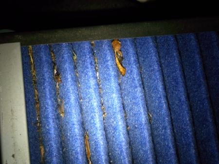 BLITZ SUS POWER AIR FILTER